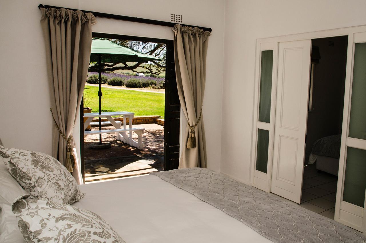 Lavinia Lifestyle Vila Stellenbosch Exterior foto