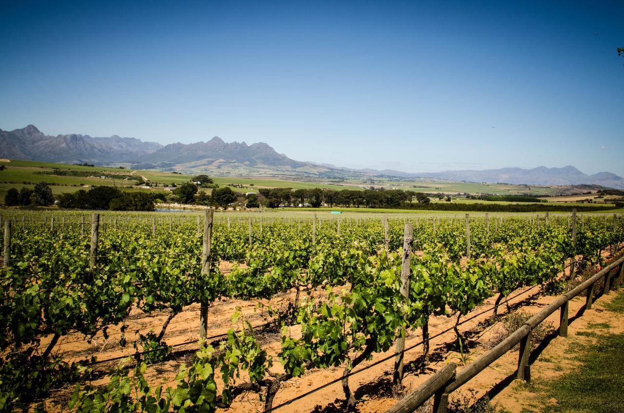Lavinia Lifestyle Vila Stellenbosch Exterior foto