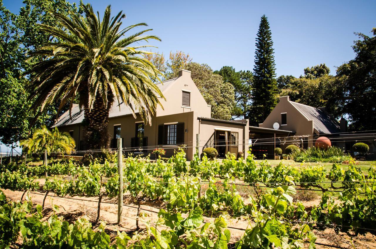 Lavinia Lifestyle Vila Stellenbosch Exterior foto