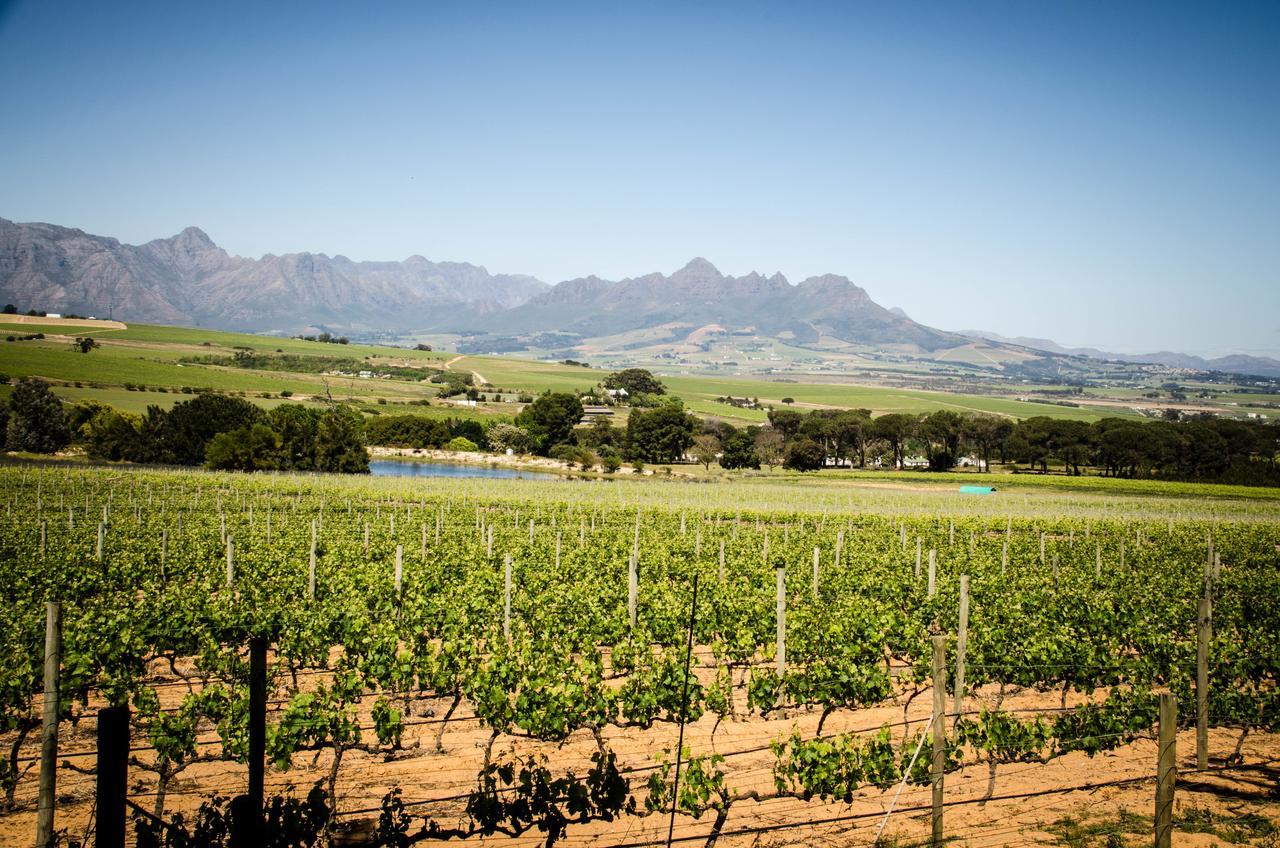 Lavinia Lifestyle Vila Stellenbosch Exterior foto