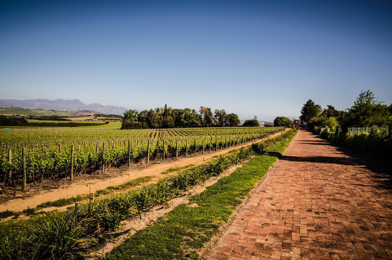 Lavinia Lifestyle Vila Stellenbosch Exterior foto